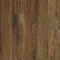 Buy Shaw Waterproof Flooring Online 2545v 00734 Valore Plus Plank Parma