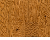 Almond Tone